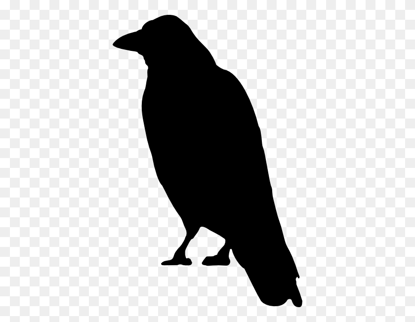384x592 Drawn Crow Clip Art - Pansy Clipart
