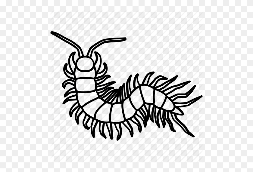 512x512 Drawn Glitch Arthropod - Centipede Clipart