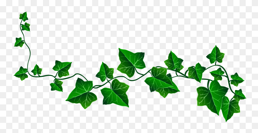 4960x2377 Drawn Jungle Ivy Vine - Rainforest Background Clipart