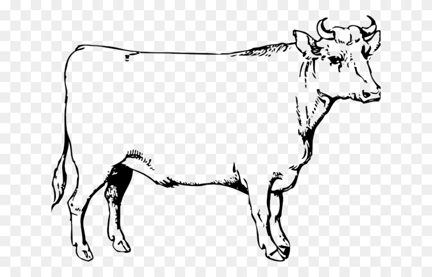 640x480 Drawn Ox - Ox Clipart Black And White