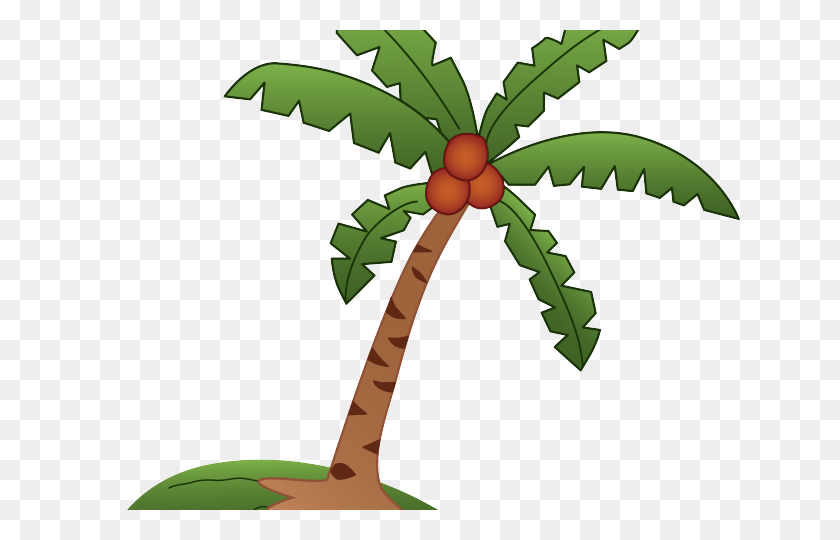 640x480 Нарисованный Контур Пальмы - Пальмовые Листья Png