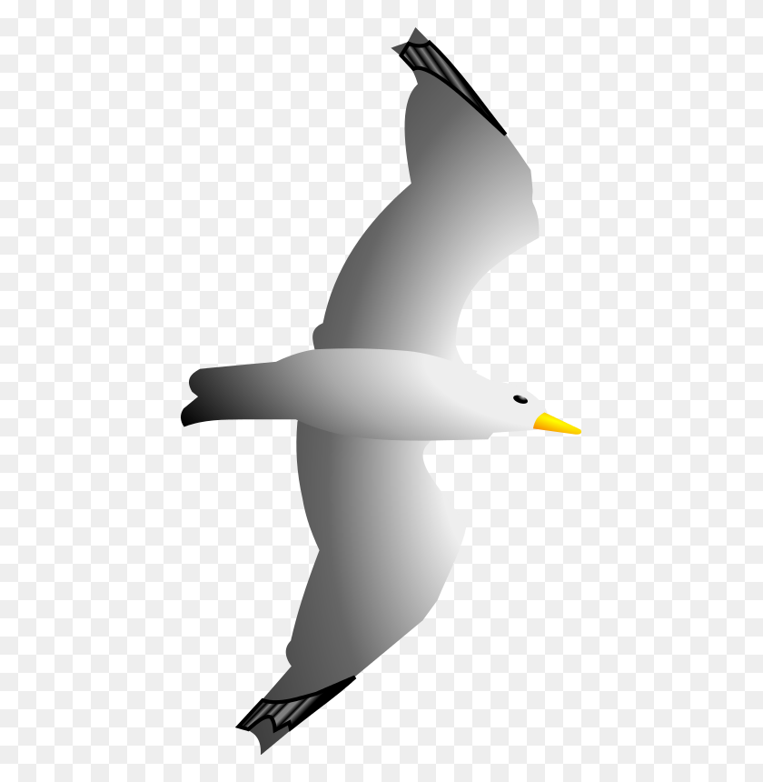 441x800 Drawn Seagull Free Clip Art - Refrigerator Clipart Free