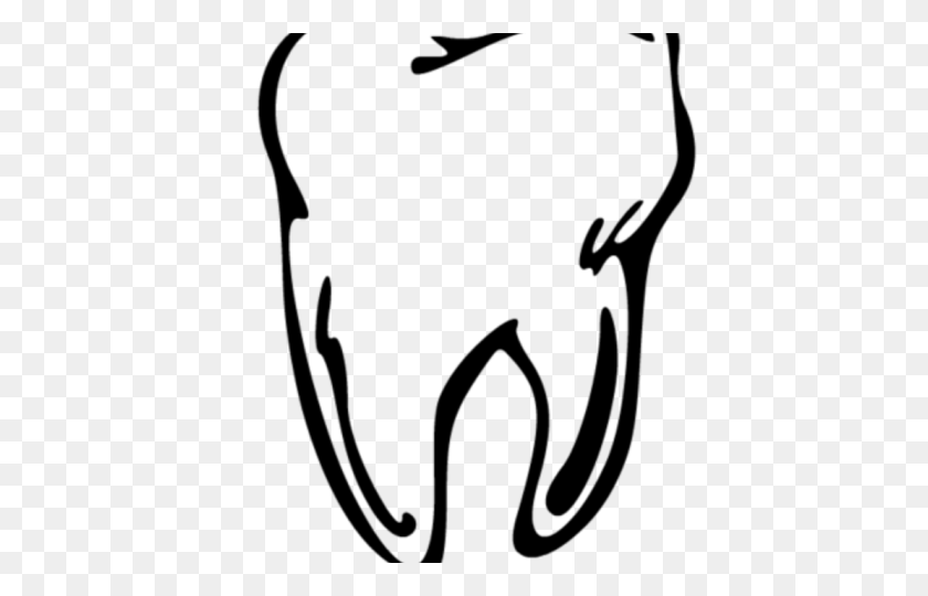 640x480 Нарисованные Зубы Челюсть Мегалодона - Черно-Белый Клипарт