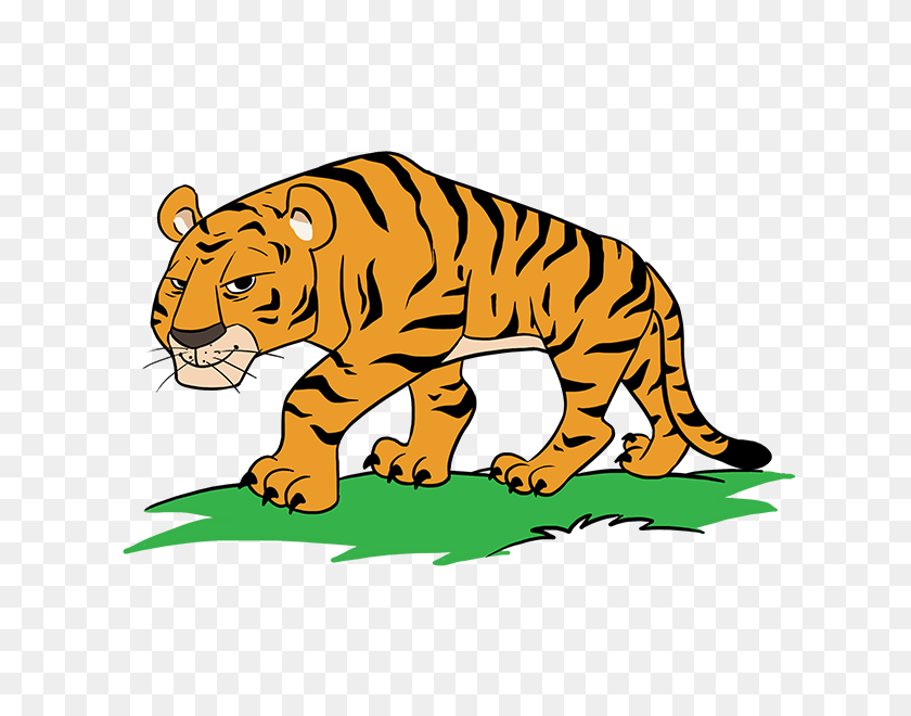 678x600 Drawn Tigres Catoon - Lsu Tiger Clipart