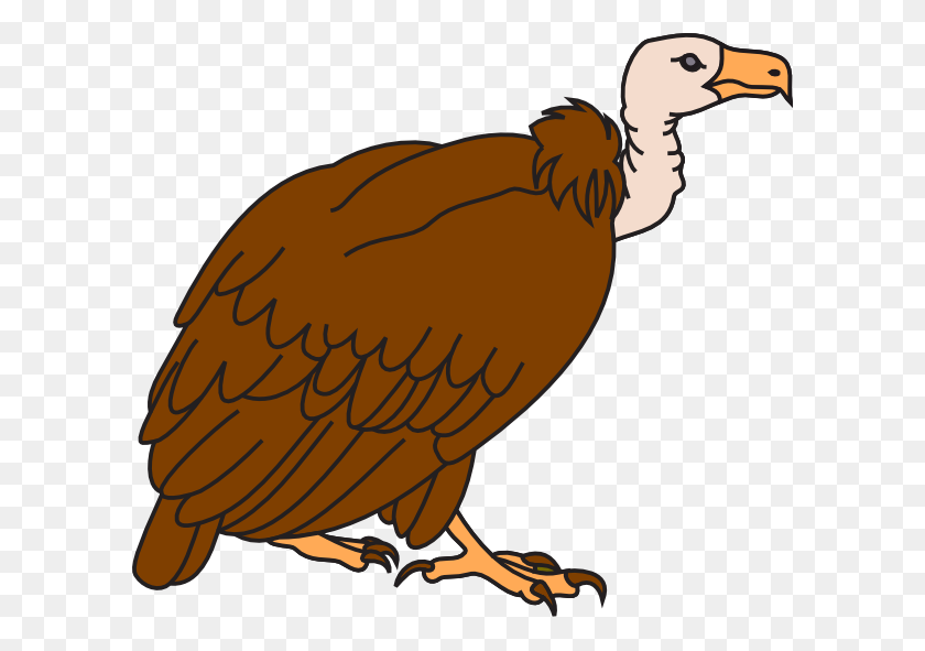 600x531 Drawn Turkey Vulture Clip Art - Turkey Body Clipart