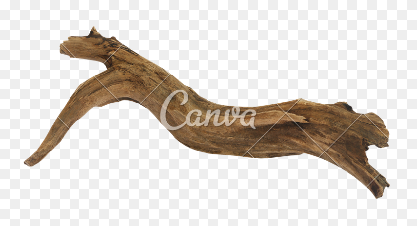 800x406 Driftwood Over White Background - Driftwood PNG