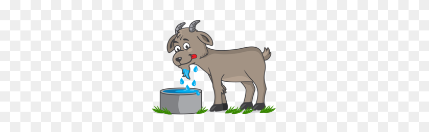 260x200 Drinking Clipart - Goat Clipart PNG