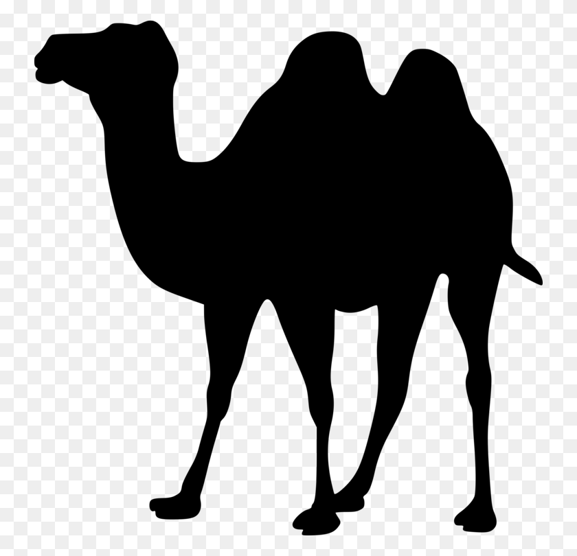 740x750 Dromedary Bactrian Camel Animal Silhouettes Camel Train Free - Train Silhouette Clip Art