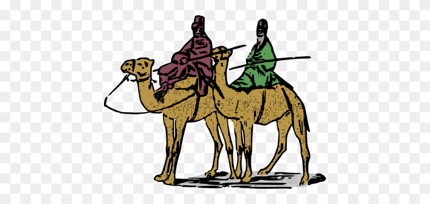 434x340 Dromedary Bactrian Camel Camel Racing Equestrian Sticker Free - Free Camel Clipart