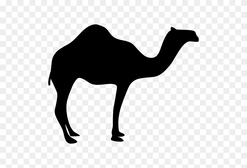 512x512 Dromedary Bactrian Camel Silhouette Clip Art - Camel Clipart Black And White