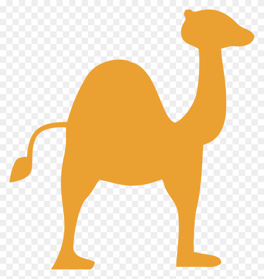 1001x1065 Dromedario Eid Al Adha Clipart - Camel Clipart