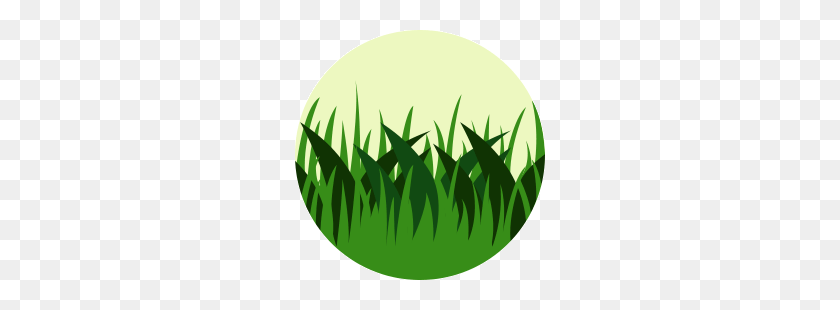 250x250 Dry Grass Clipart Short Grass - Grass Clipart PNG