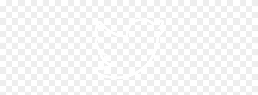 250x250 Dsg Website - Twitter Icon White PNG
