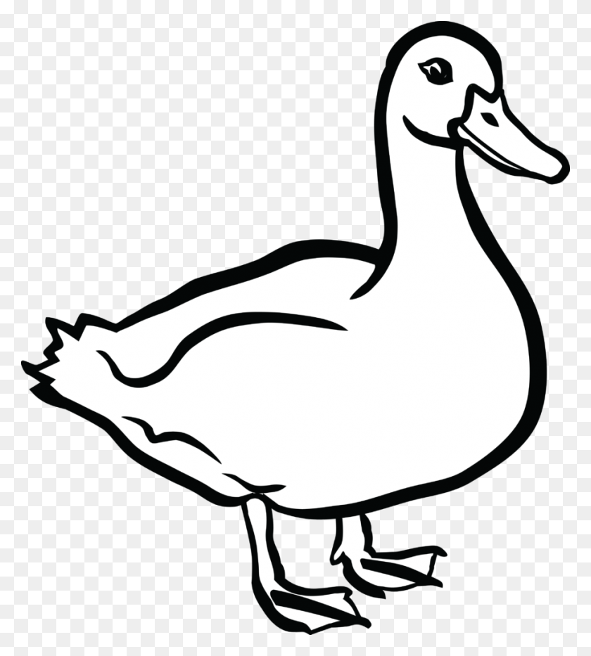 Duck Clip Art - Duck Face Clipart
