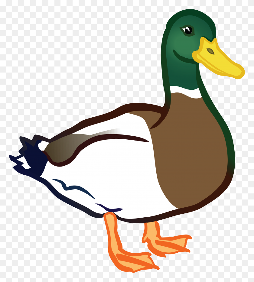 4000x4479 Duck Clipart Animal - Duck Clipart Black And White