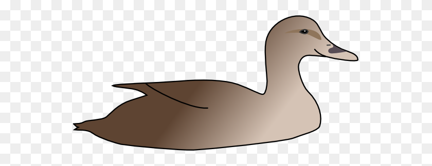 555x264 Duck Free To Use Cliparts - Free Duck Clip Art