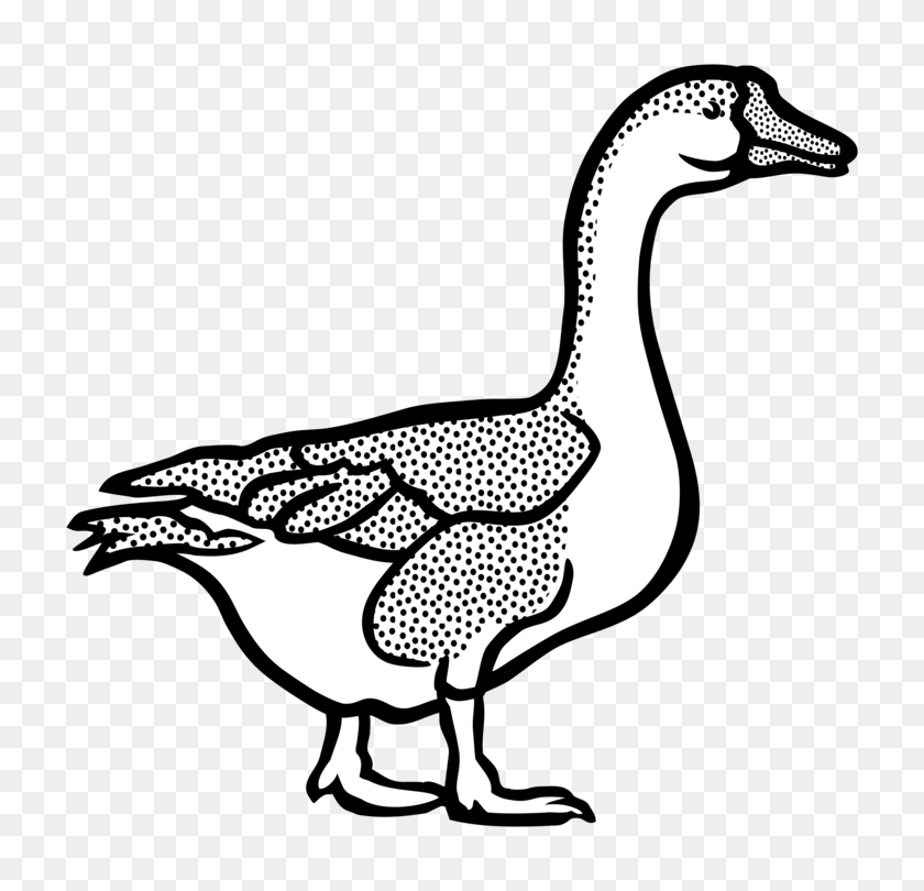 774x750 Duck Goose American Pekin Mallard Black And White - Swan Clipart Black And White
