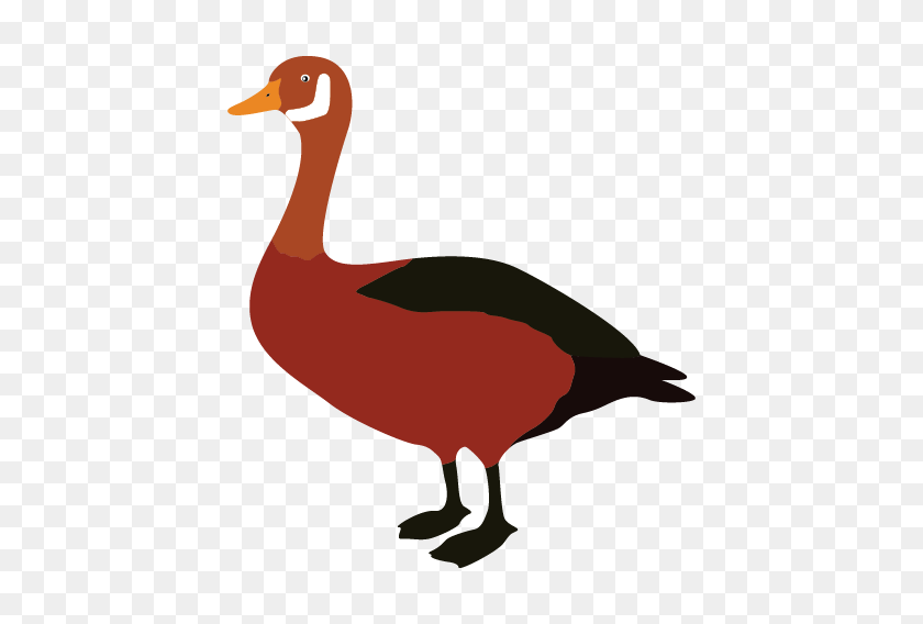 508x508 Duck Goose Clip Art - Goose Clipart