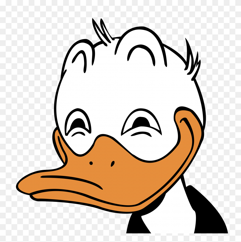 4000x4012 Duck Head Clip Art - Duck Face Clipart