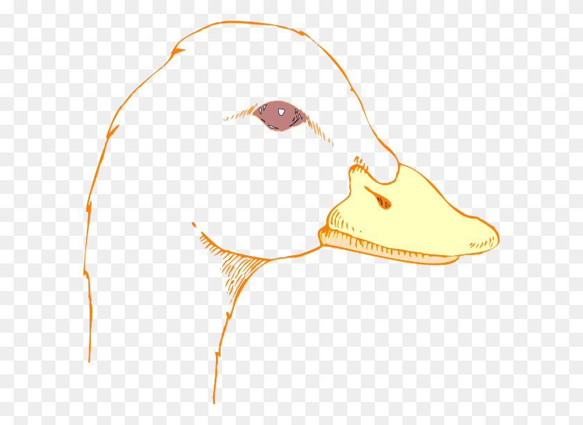 600x553 Duck Head Drawing Clip Art - Duck Head Clipart