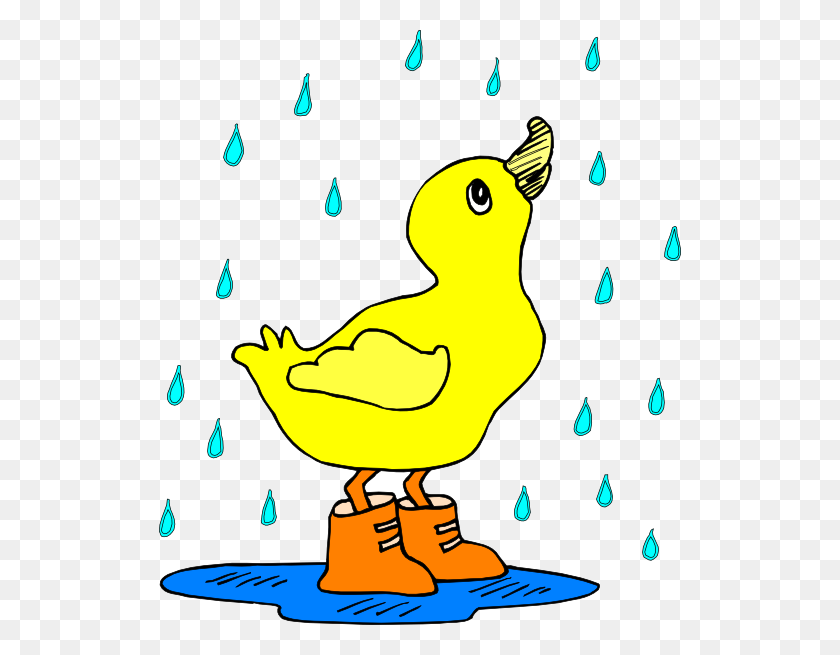 522x595 Duck In The Rain Clip Art - Rain Clipart Transparent