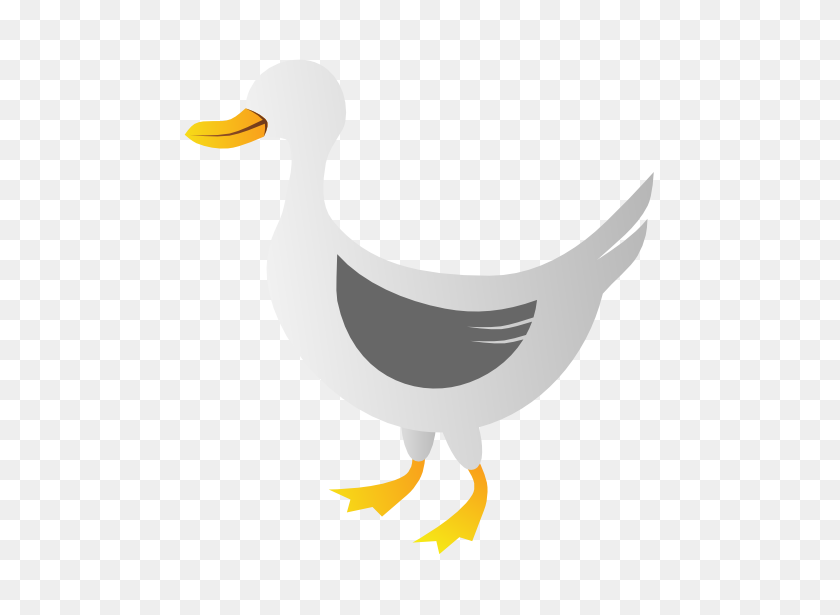 555x555 Pato Png