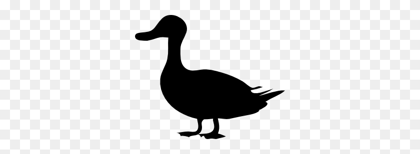 300x249 Duck Silhouette Png, Clip Art For Web - Ostrich Clipart