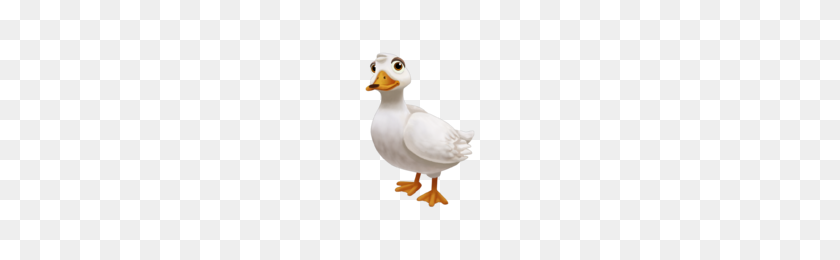200x200 Duck Transparent Png Pictures - Duck PNG