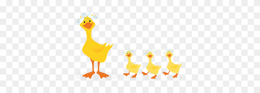 352x240 Duckling Clipart Family - Duck Family Clipart