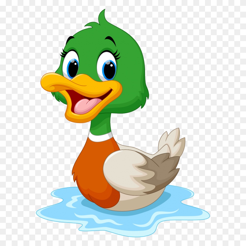 1000x1000 Patos Clipart Real Duck - Mallard Duck Clipart