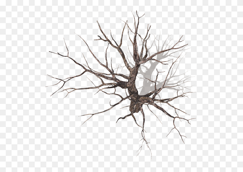 562x536 Dundjinni Mapping Software - Tree Top View PNG