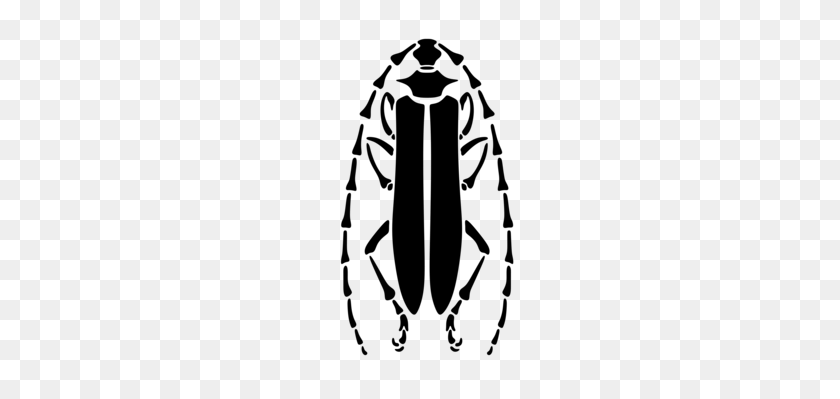 240x339 Escarabajo Del Estiércol Del Antiguo Egipto Escarabajos - Escarabajo De Coche De Imágenes Prediseñadas