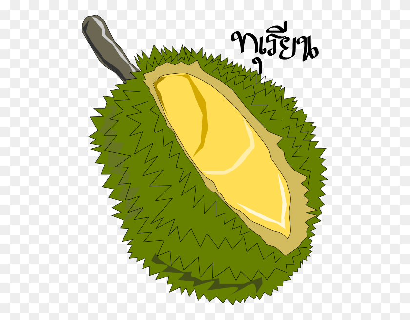 504x595 Durian Fruit Clip Arts Download - Fruits Clipart PNG