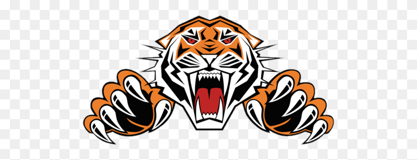 508x262 Duval - Tiger Logo PNG