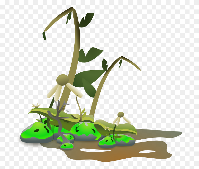 700x654 Dying Plant Clipart - Watering Plants Clipart