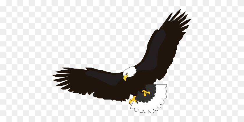 479x360 Eagle - Bald Eagle PNG