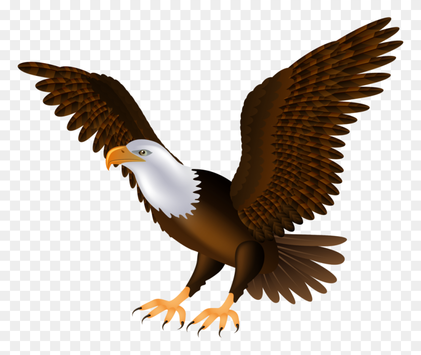 1024x851 Imágenes Prediseñadas De Pájaro Águila - Imágenes Prediseñadas De Aves Boho