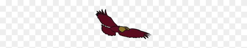 190x104 Eagle Bird Of Prey Eagle Head - Eagle Head PNG