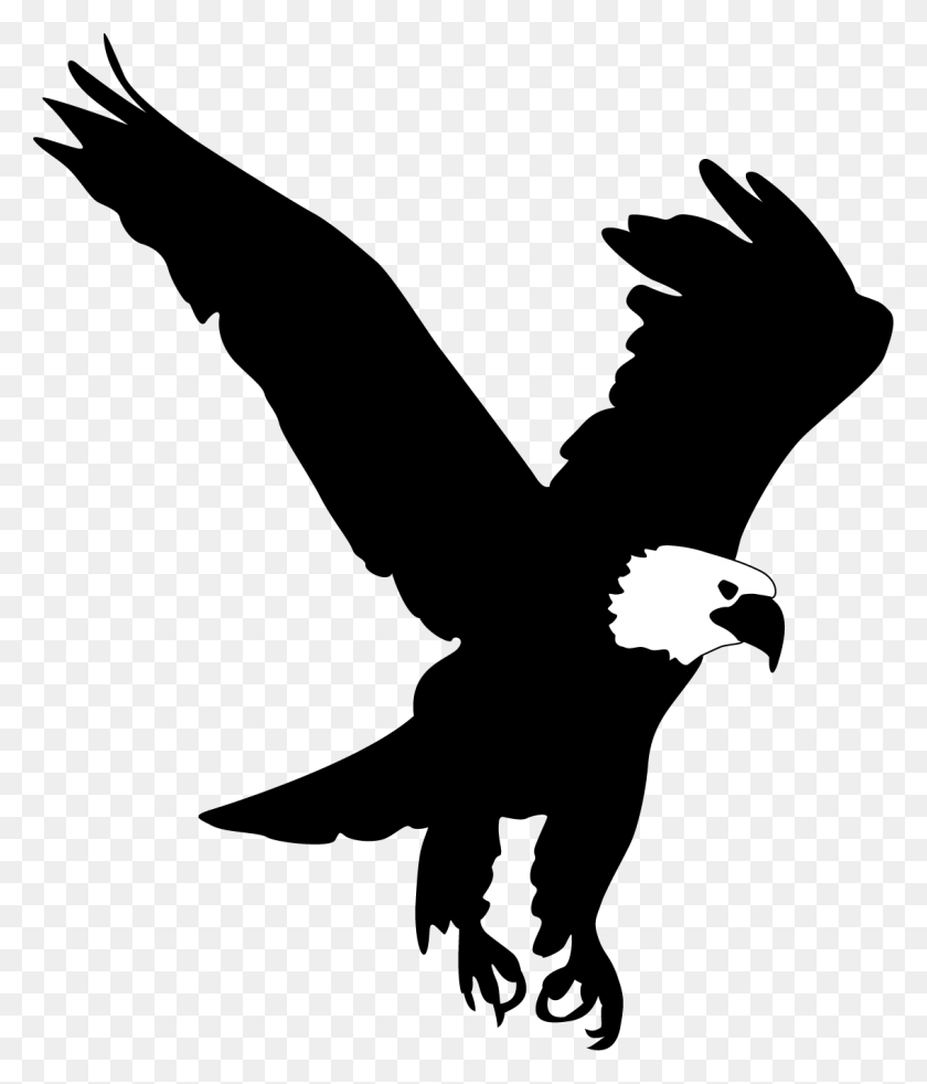 1135x1343 Eagle Clip Art - Cardinal Clipart Black And White