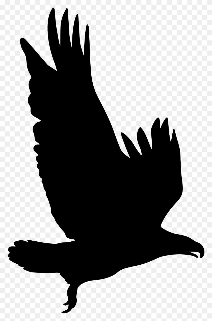 1491x2314 Eagle Clipart Shadow - Eagle Images Clip Art