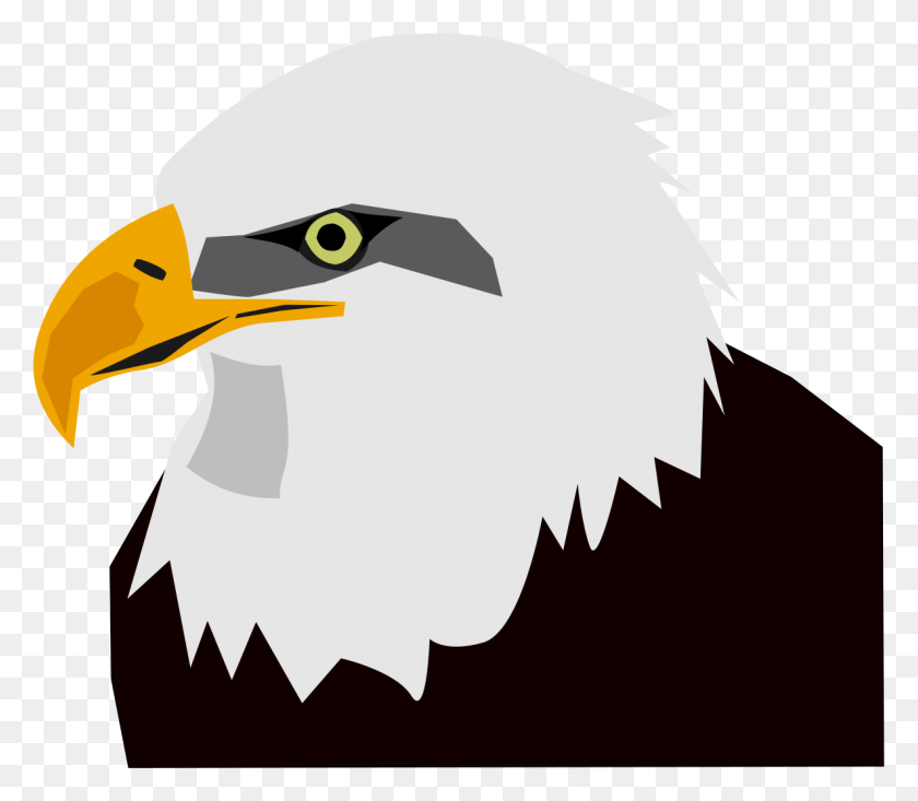 1186x1024 Eagle Head - Bald Head PNG