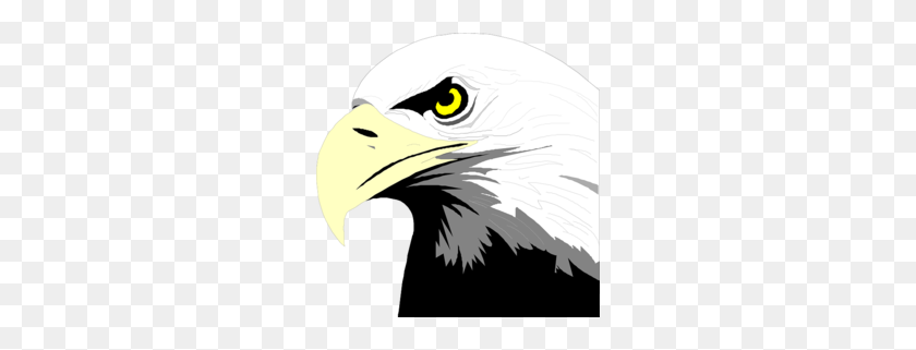 260x261 Eagle Head Clipart - Eagle Mascot Clipart