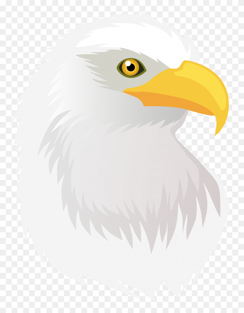 6127x8000 Eagle Head Transparent Png Clip Art - Free Eagle Clipart