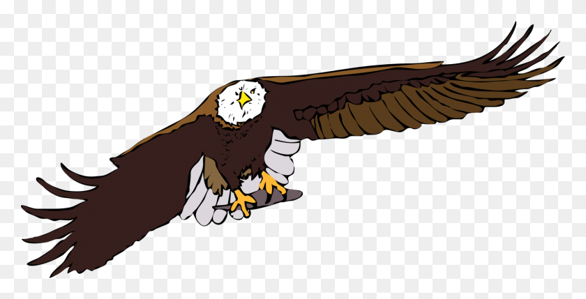 1585x750 Eagle In Flight Clipart Clip Art Images - Bald Eagle PNG