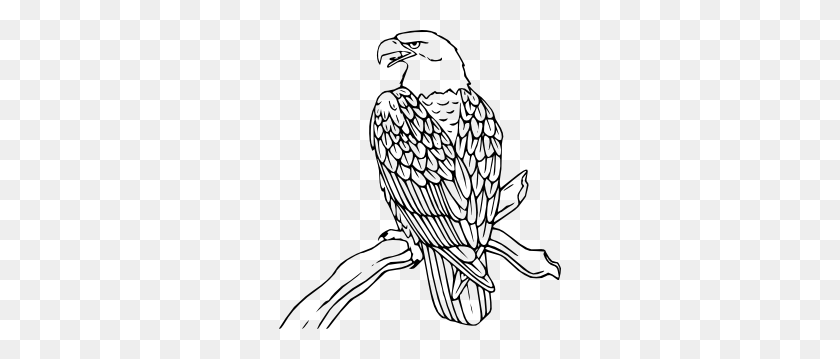 282x299 Eagle Nest Clipart Black And White - Baby Eagle Clipart
