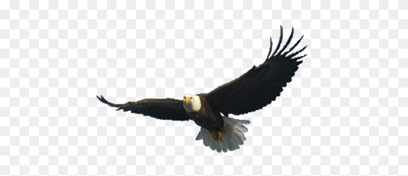 471x302 Eagle Png Hd Transparent Eagle Hd Images - Bald Eagle PNG