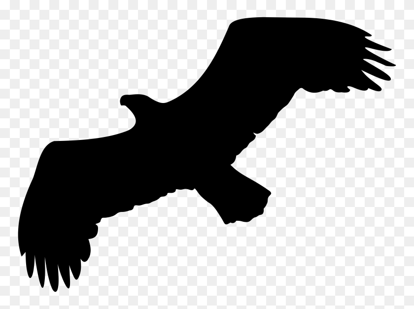 8000x5821 Eagle Silhouette Png Clip - Free Eagle Clipart