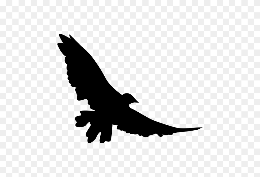 512x512 Eagle Wings Flying - Eagle Wings PNG