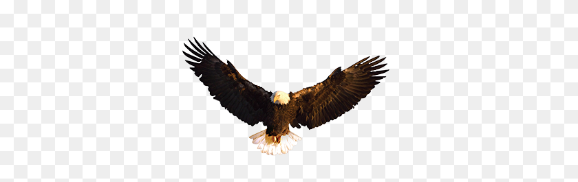 333x205 Eagles' Wings - Eagle Wings PNG
