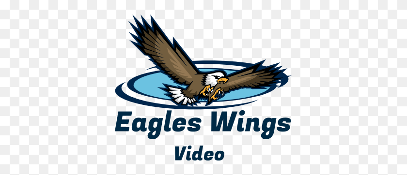 500x302 Eagles Wings Video - Eagle Wings PNG